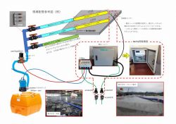 養生ヘルパーの詳細
