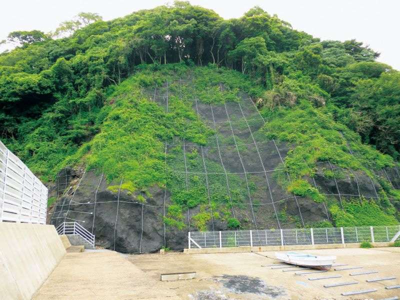 GMネットの詳細