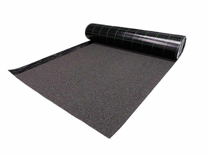 アスガードの詳細