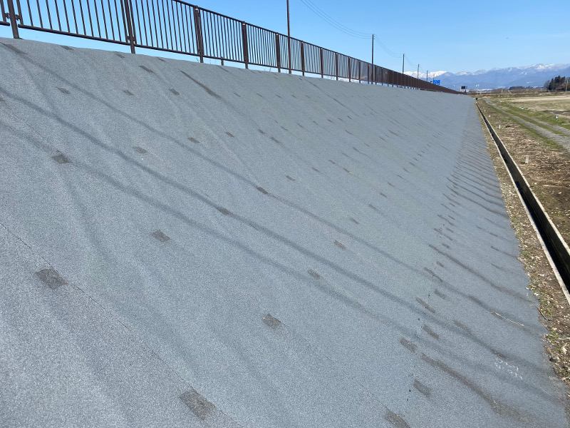 マクレーンシートの詳細