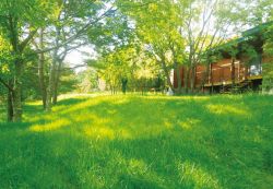 ポリソイル緑化工