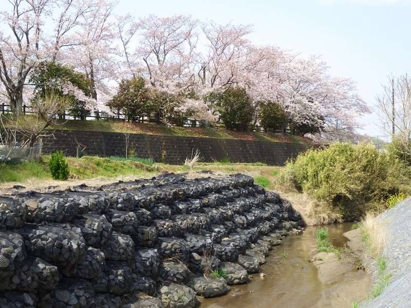 バイオエコサンクネット