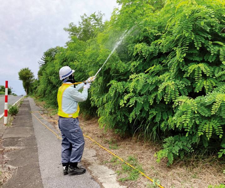サーベルDFを用いたイタチハギ、クズ、ニセアカシア、ギンネム等への防除工法