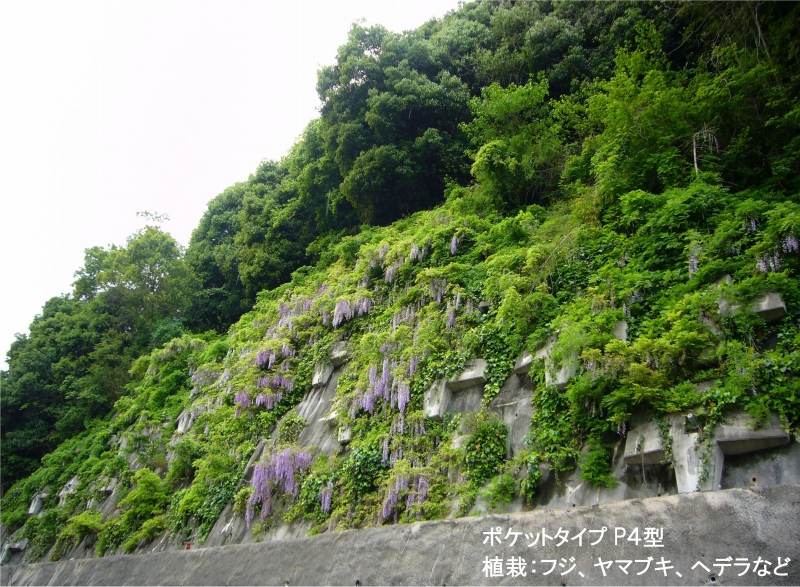 グリーンポケット工法の詳細