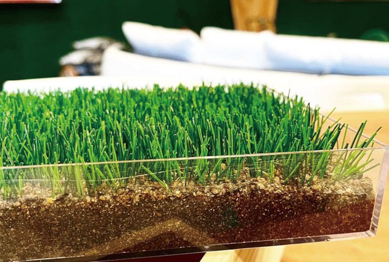 COOOL Turfの詳細