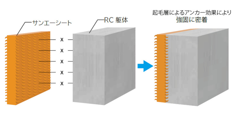 サンエーシートの詳細