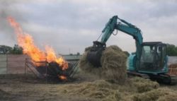 モヤッシーの詳細