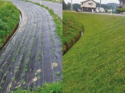 べた～とシートの詳細