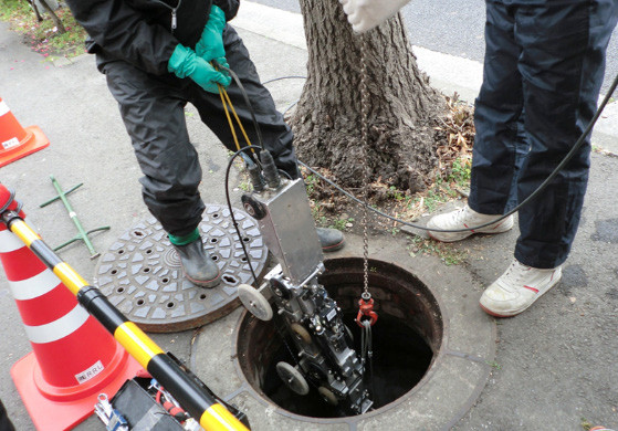 衝撃弾性波検査法