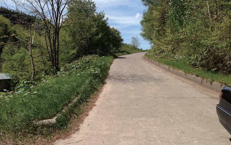 STEIN(シュタイン)