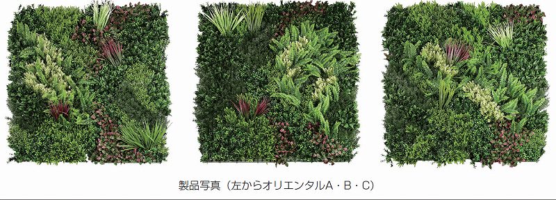 モアリーフの詳細