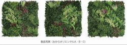 モアリーフ