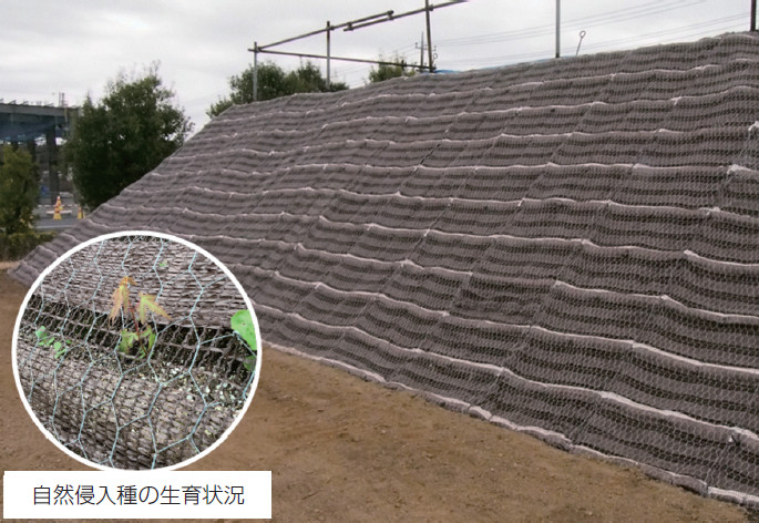 ニューレミフォレスト工法の詳細