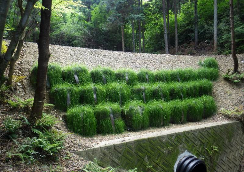 メガ・メデルの詳細