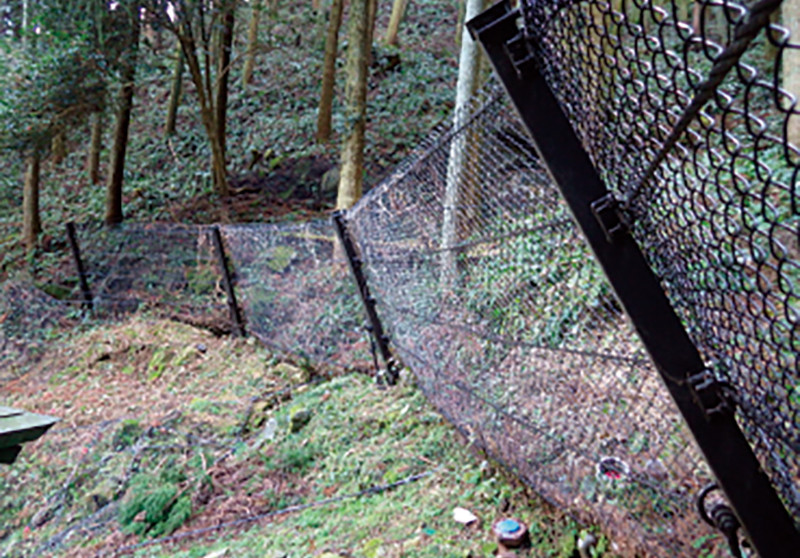 J-キャフネットの詳細