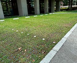 エコユニットベース