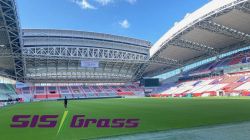 SISGrass