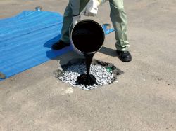 マイルドグースの詳細