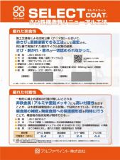 セレクトコートさび鉄構造物リニューアル工法の詳細