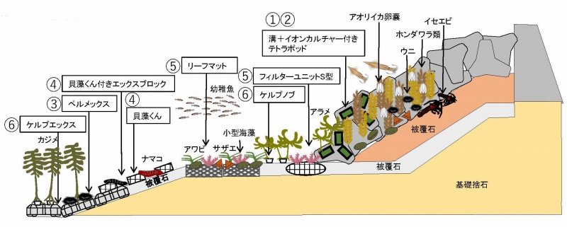 港湾構造物の生物共生効果の向上技術の詳細