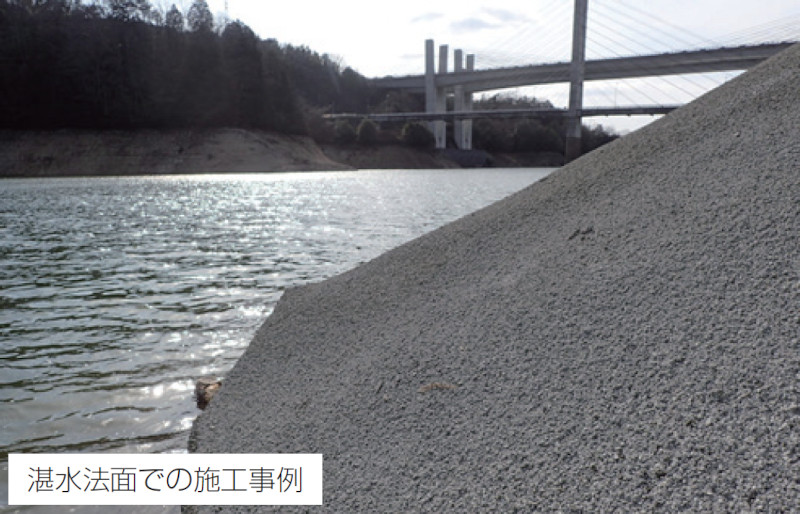 ザルコンの詳細