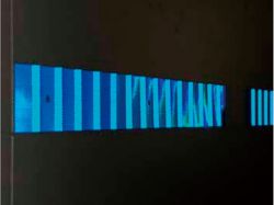 3M 線形視線誘導標ウェーブ・ライト・ライン HGソフト WL SF TI