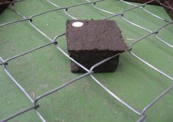 植物スペーサーの詳細