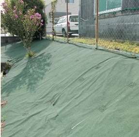 ハヤサンS20の詳細