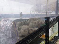 AQUA-MATE Plus(J)の詳細