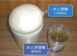 KOD-Mの詳細