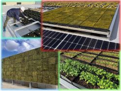 屋上防水対応型植栽用フレーム設置工法の詳細