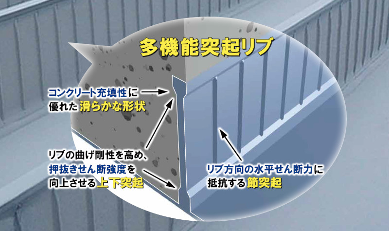 SCデッキ・スタッドレスの詳細