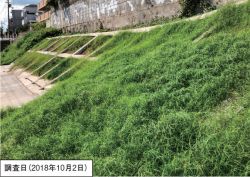 エスプラネードライトフロアブル施用による刈取りゼロを実現する除草技術