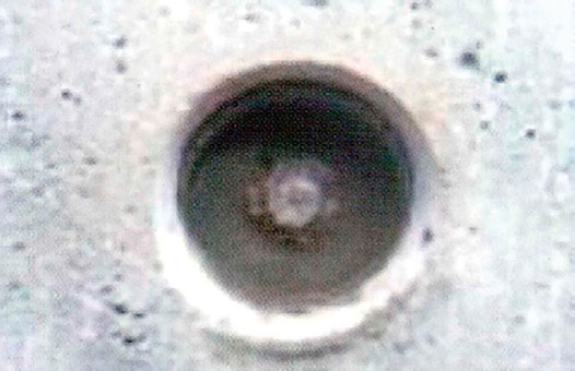 ゲルピタットQの詳細