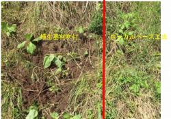 ローカルベース工法の詳細