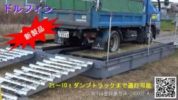 ドルフィンの詳細