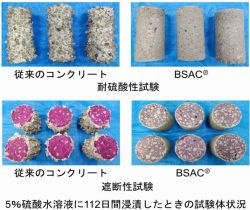 BSACセグメントの詳細