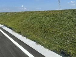 クラピアを用いた緑化防草工法の詳細