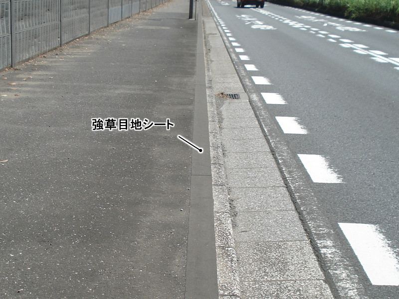 強草目地シート