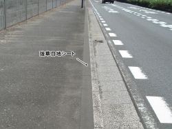 強草目地シート