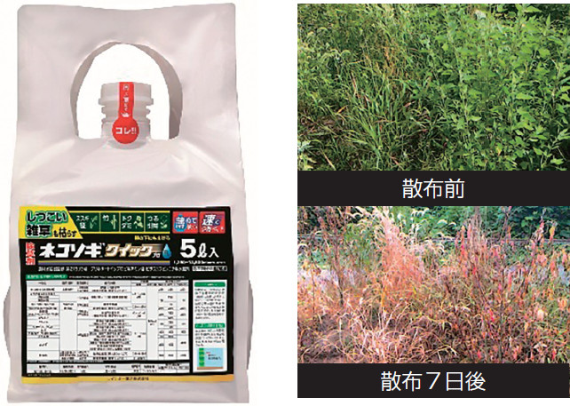 ネコソギクイックプロFLの詳細