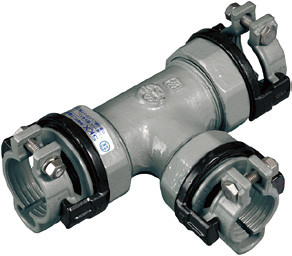 SKXナット付チーズ