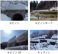 セピノンシリーズの詳細